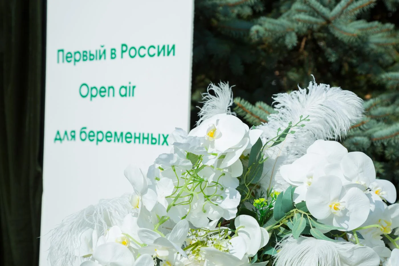 В Калининграде Первый в России Open air для беременных объединил более 200 человек