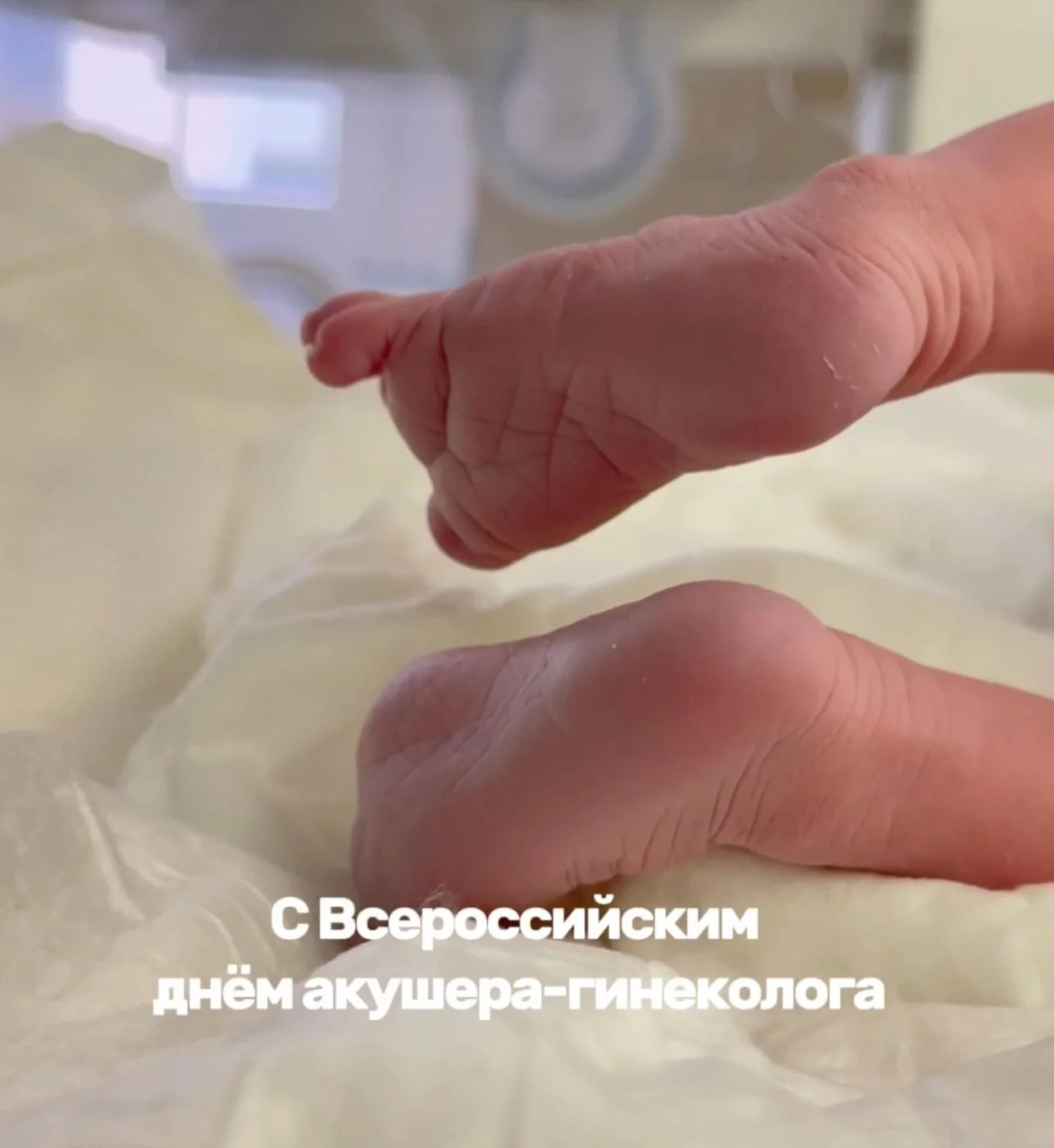 Поздравляем с Всероссийским днем врача акушера-гинеколога