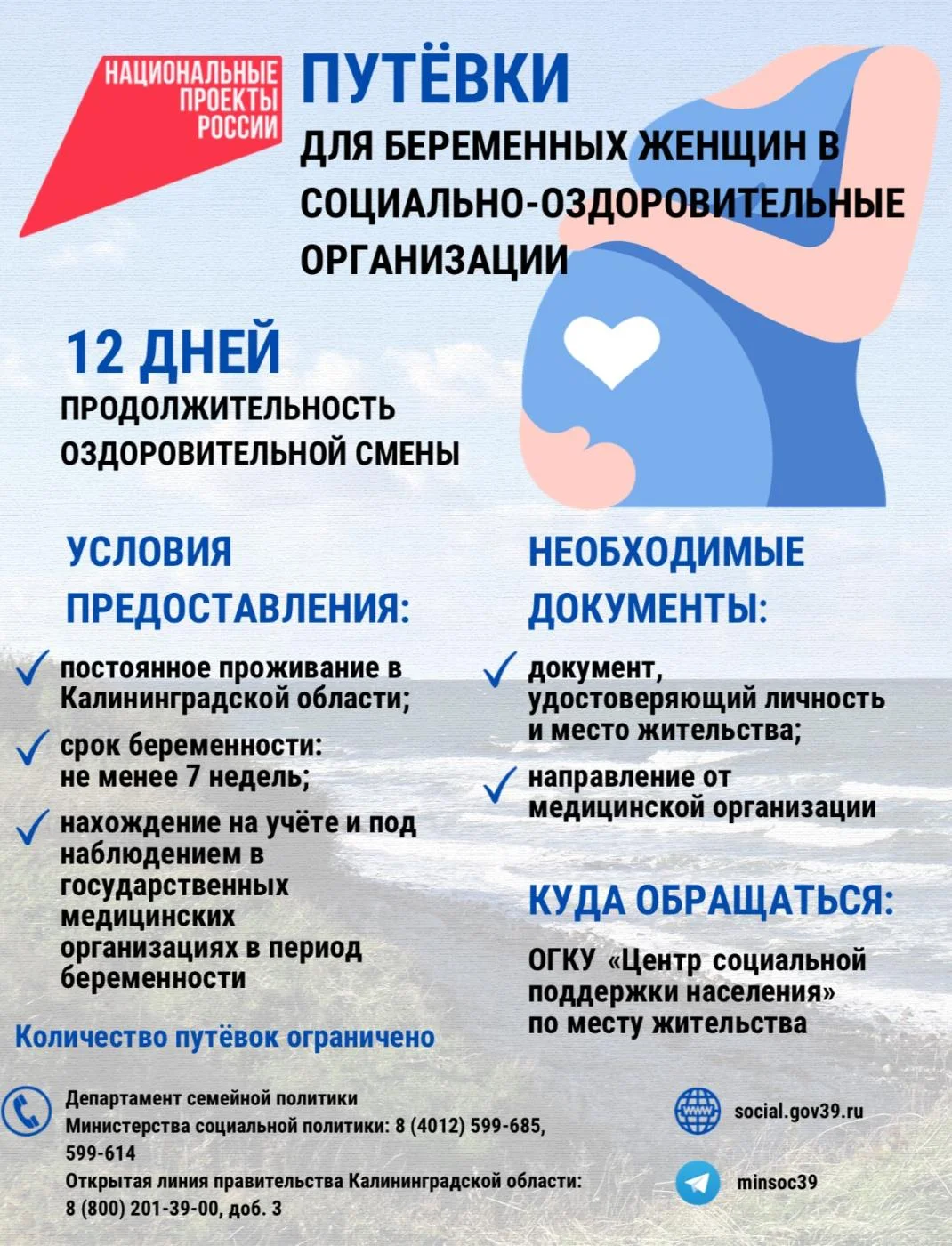 Меры поддержки для беременных и семей с детьми