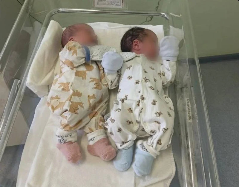 В 2026 году в Калининградской области появились пять пар двоен, три из них - королевские 