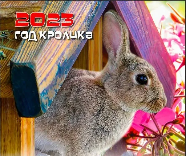 Работа подразделений РПЦ в новогодние праздничные дни