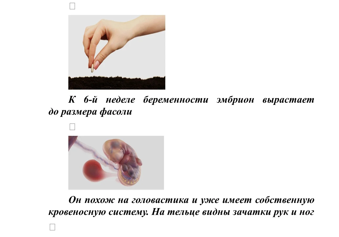 IMG_4326 2.jpg IMG_4326 2.jpg