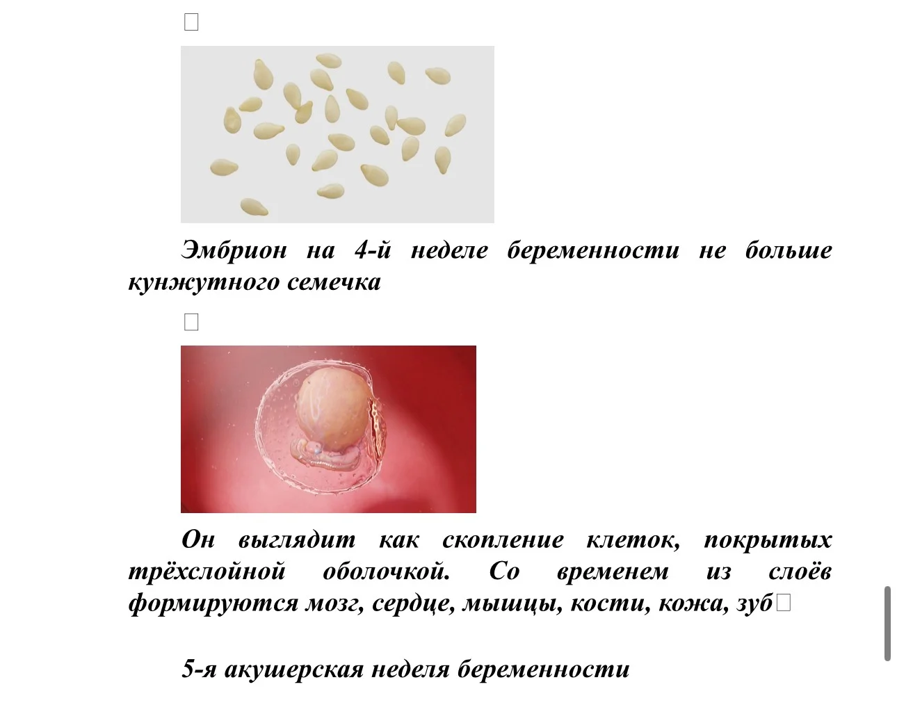 IMG_4325.jpg IMG_4325.jpg