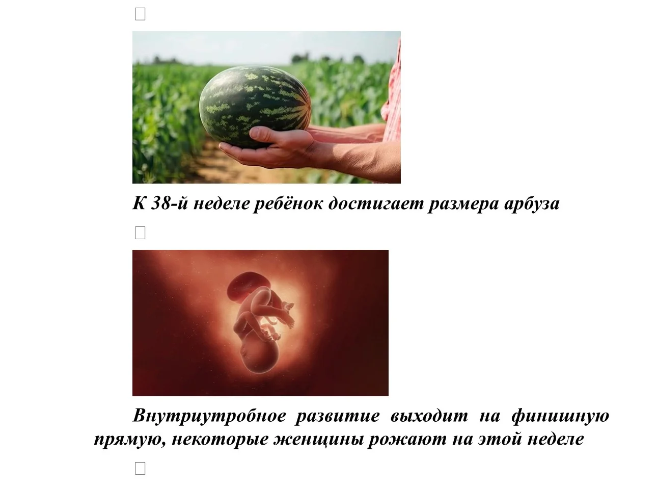 IMG_4341.jpg IMG_4341.jpg