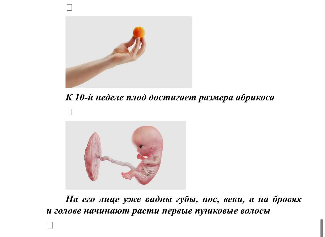 IMG_4328.jpg IMG_4328.jpg