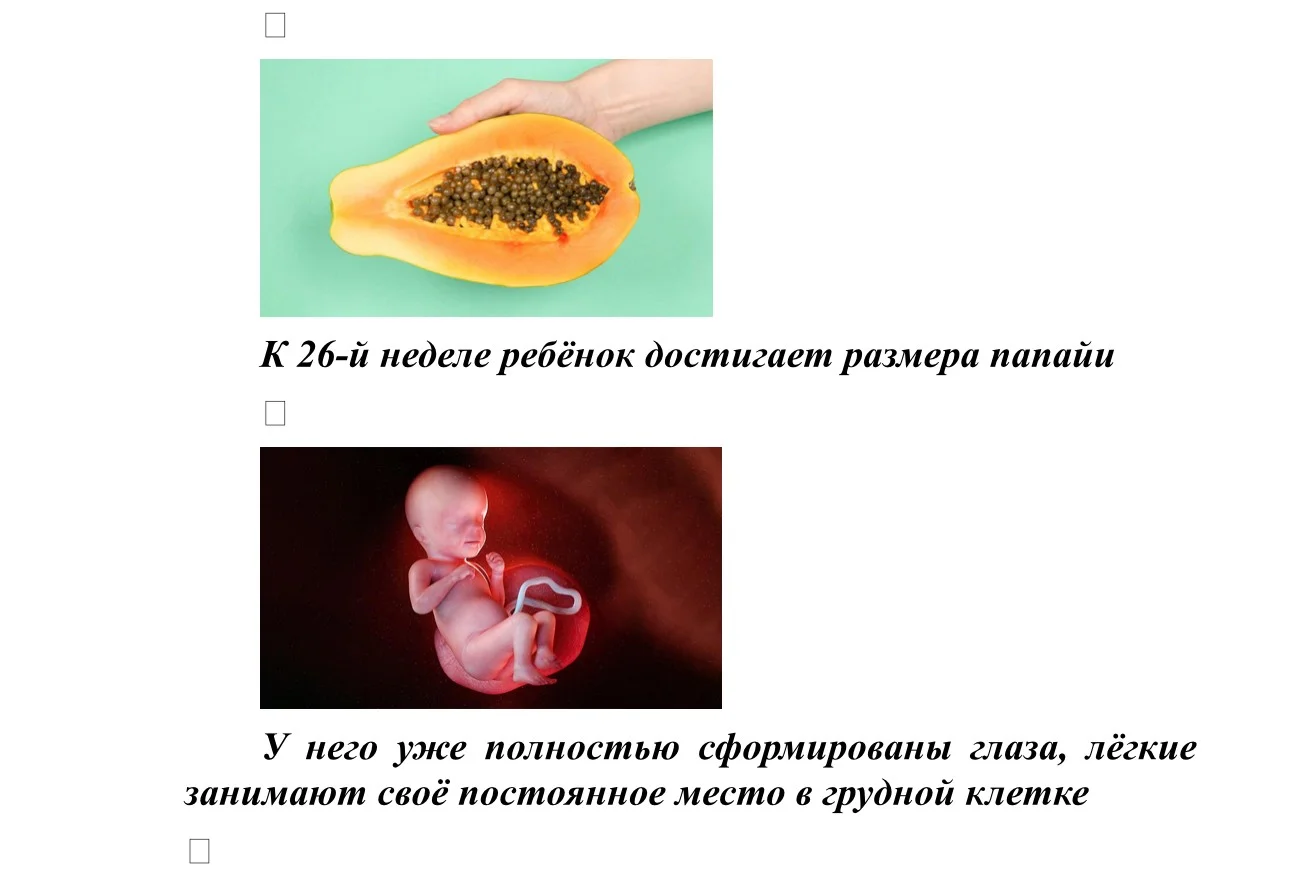 IMG_4336.jpg IMG_4336.jpg