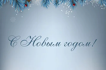 Родившаяся в Перинатальном центре девочка стала первым новорожденным в 2025 году в Калининградской области Родившаяся в Перинатальном центре девочка стала первым новорожденным в 2025 году в Калининградской области