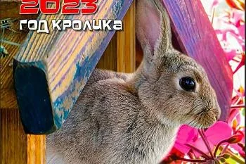 Работа подразделений РПЦ в новогодние праздничные дни
