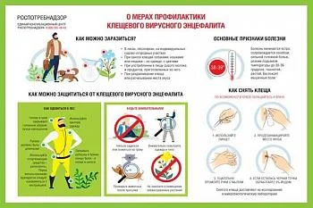 О мерах профилактики клещевого вирусного энцефалита. О мерах профилактики клещевого вирусного энцефалита.